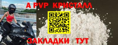 стаф Донской