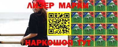 стаф Донской