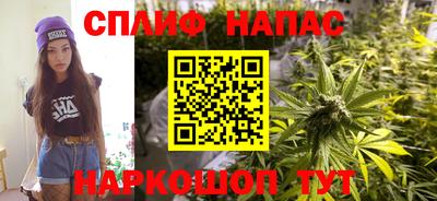 jwh Дубна