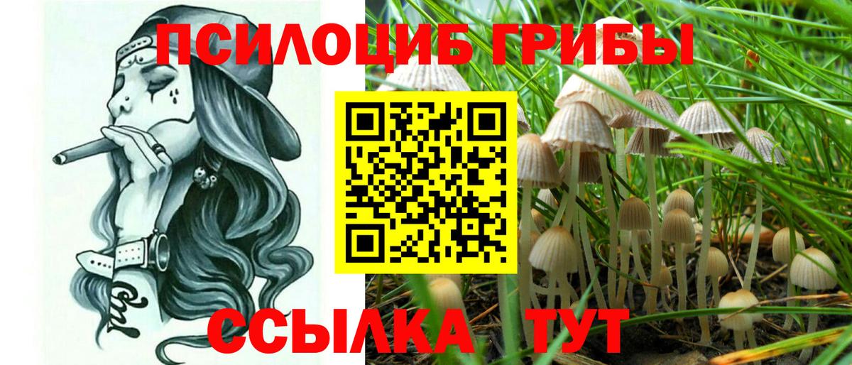 Галлюциногенные грибы мицелий Новоалександровск