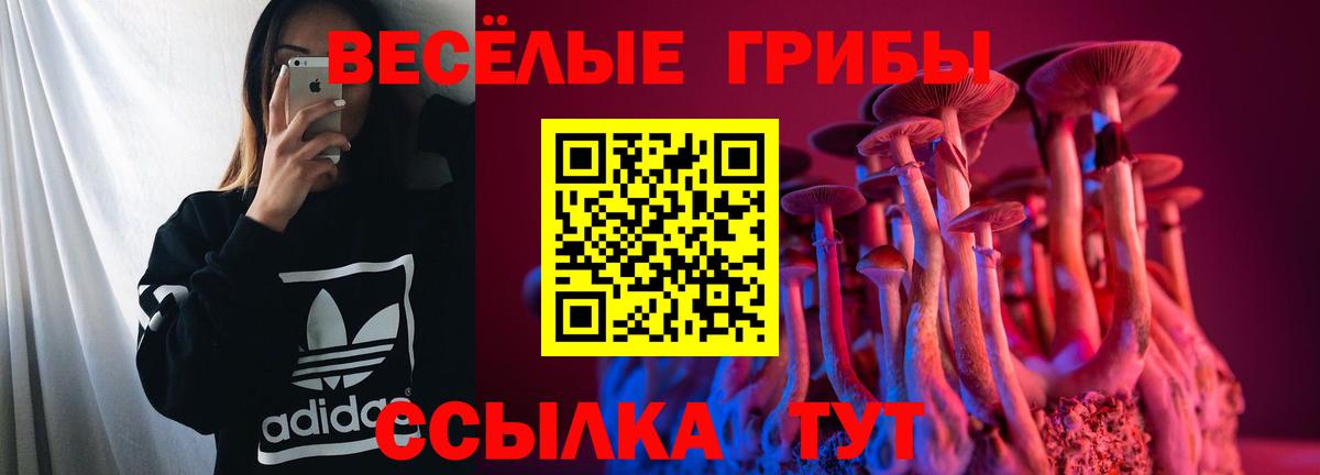 Новоалександровск  Псилоцибиновые грибы Psilocybe  Вход с VPN 